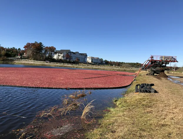 Mulberry Bed & Breakfast hotel detail image 4