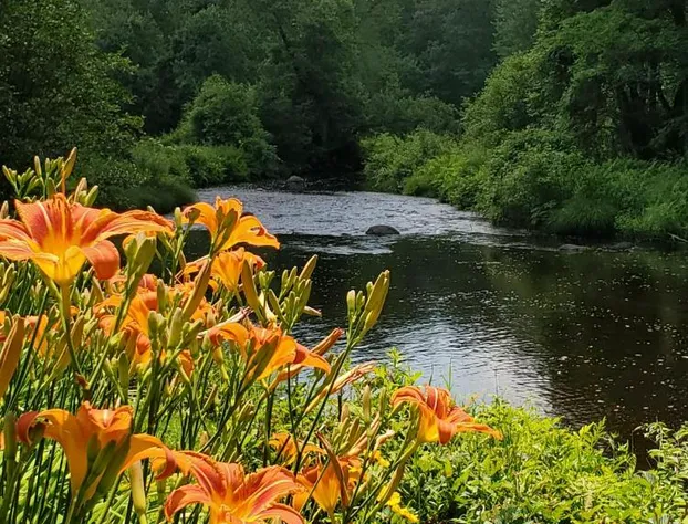 Little River Bed & Breakfast hotel detail image 4