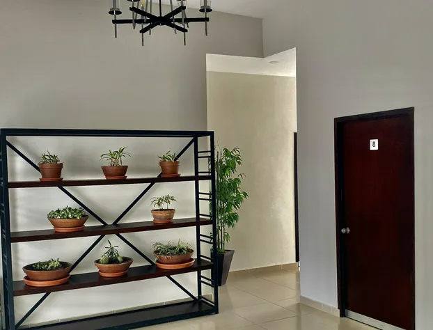 Biza Express hotel detail image 3