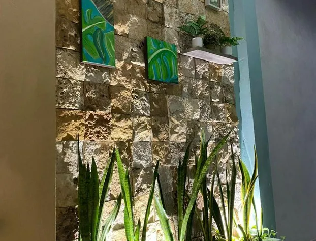 Hotel San Miguel hotel detail image 4