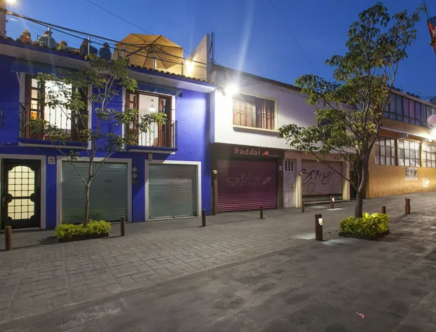 Hotel Casa Frida hotel detail image 1