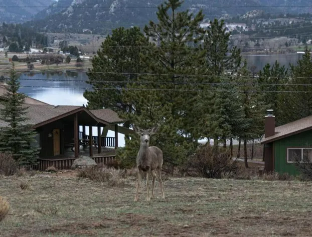 Estes Lake Lodge hotel detail image 3