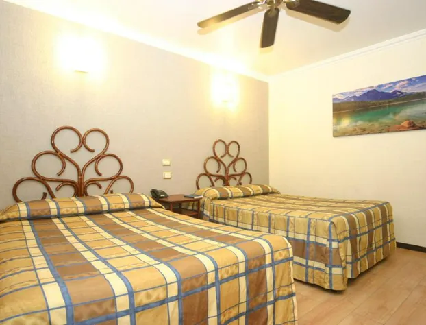 Hotel Plaza Crystal hotel detail image 3