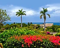 Wailea Ekolu - CoralTree Residence Collection hotel detail image 4