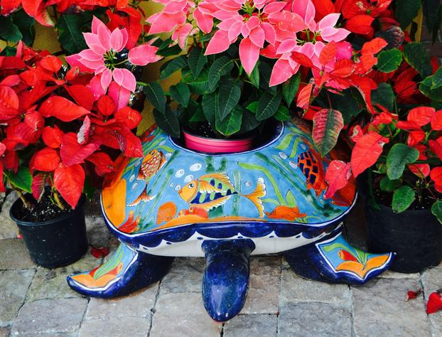 Sea Turtle Inn hotel detail image 1