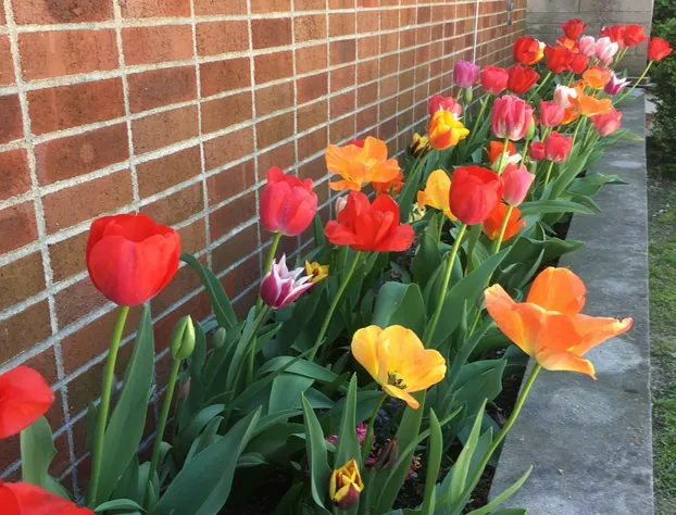 Davie School Inn hotel detail image 1