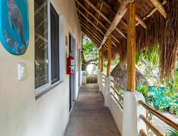 Hotel & Suites Oasis Bacalar hotel detail image 1