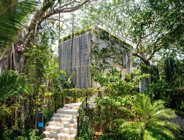 W Punta de Mita hotel detail image 1