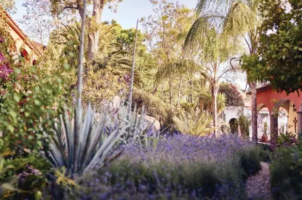 Casa de Sierra Nevada, A Belmond Hotel, San Miguel de Allende hotel detail image 2