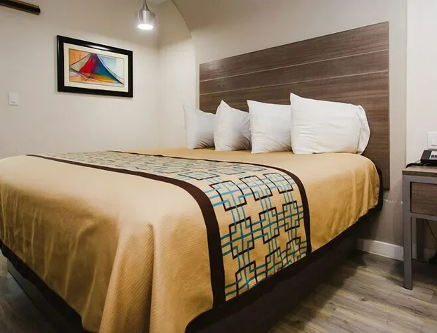 Palace Inn Beltway 8 & Veterans Memorial hotel detail image 2