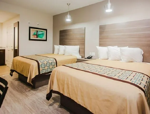 Palace Inn Beltway 8 & Veterans Memorial hotel detail image 3