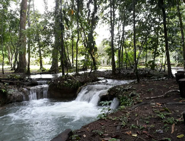 Cabaña Tu'ur hotel detail image 4