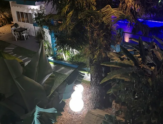 Hotel Boutique Paseos Cuernavaca hotel detail image 4