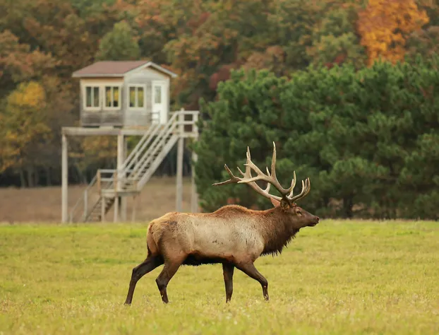 Edenwood Ranch Private SQ MILE hotel detail image 4