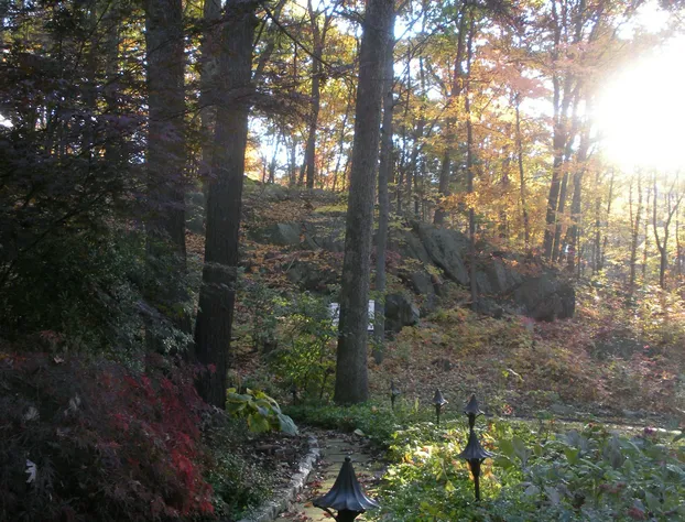 Inn the Woods Bed and Breakfast hotel detail image 1