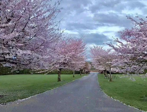 Cedar Manor Bed and Breakfast hotel detail image 2
