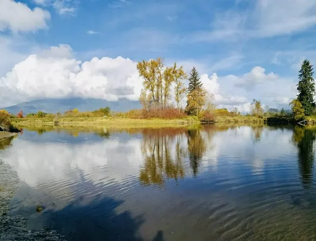 Cedar Manor Bed and Breakfast hotel detail image 3