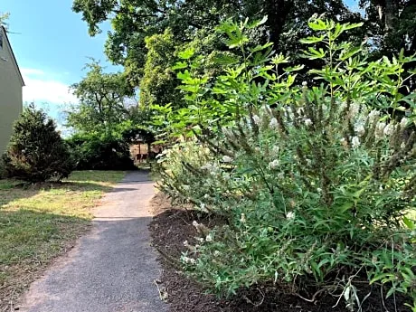 America Sandman B & B hotel detail image 3