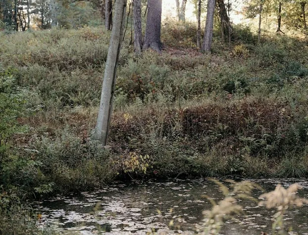 Stonehill's Farmhouse hotel detail image 4