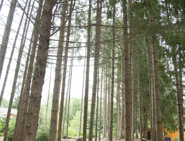 Chatfield Hollow Inn hotel detail image 2