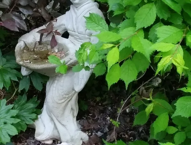 Merlot Sunset B&B hotel detail image 1