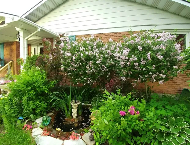 Merlot Sunset B&B hotel detail image 3