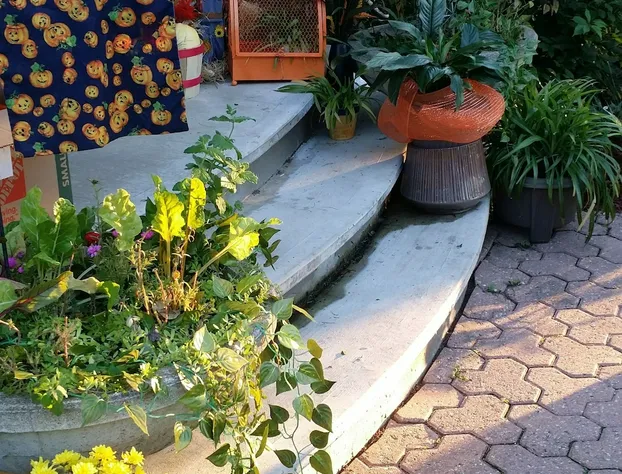 Merlot Sunset B&B hotel detail image 4