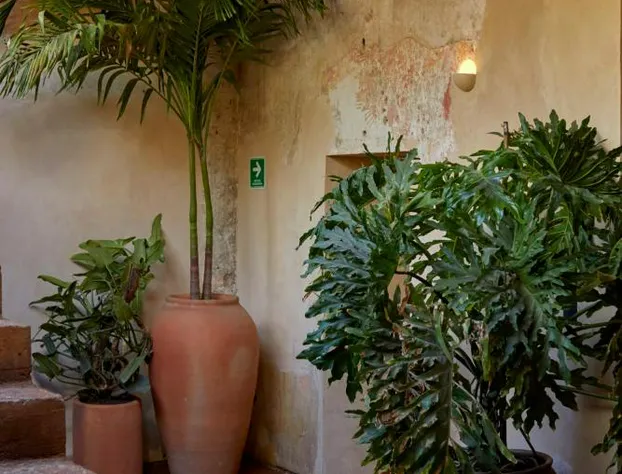 Hotel Escondido Oaxaca , Oaxaca, a Member of Design Hotels hotel detail image 1