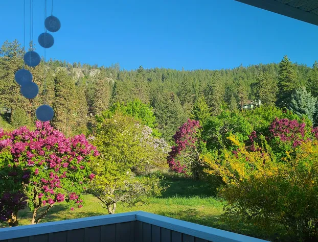 The Chirping Cricket Bed & Breakfast hotel detail image 3