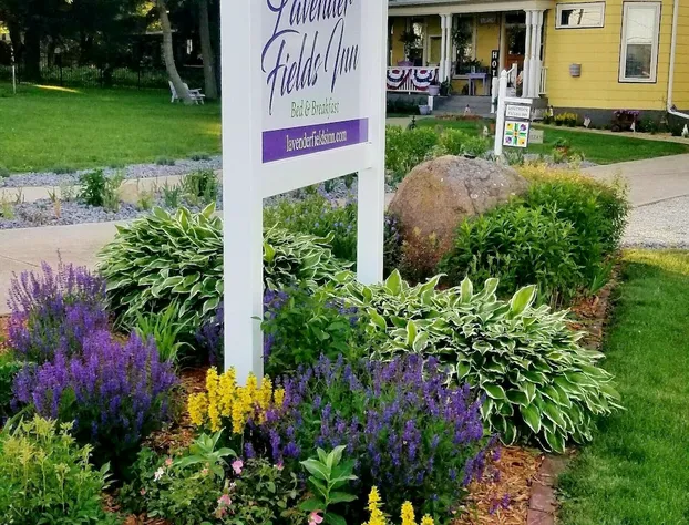 Lavender Fields Inn B&B hotel detail image 2