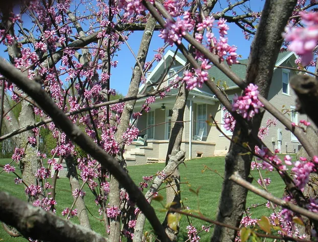 Wampler House hotel detail image 4