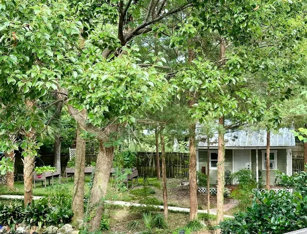 Grady House Bed & Breakfast hotel detail image 3