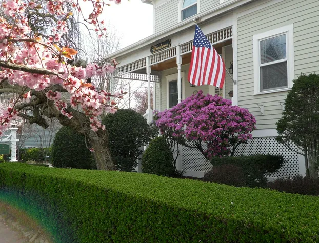 Windsome Bed & Breakfast hotel detail image 1