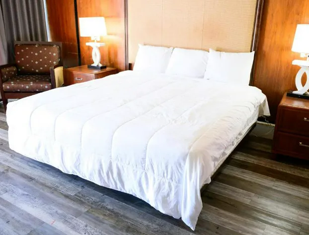 Oyo Hotel Greensboro Nc Northe hotel detail image 4