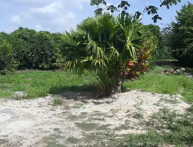 Centro Ecoturistico Rio Chuj Te hotel detail image 2