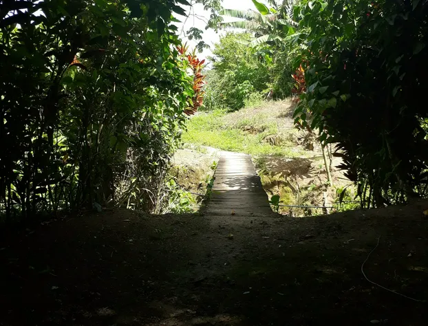 Centro Ecoturistico Rio Chuj Te hotel detail image 3