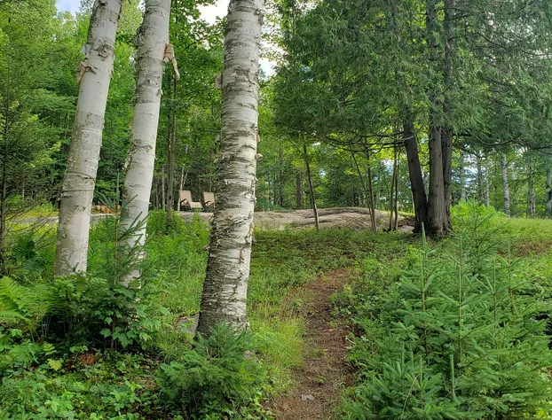 Le DEN de Tremblant hotel detail image 2