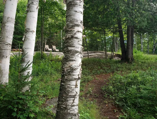 Le DEN de Tremblant hotel detail image 3