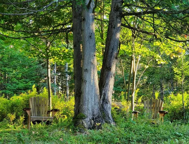 Le DEN de Tremblant hotel detail image 4