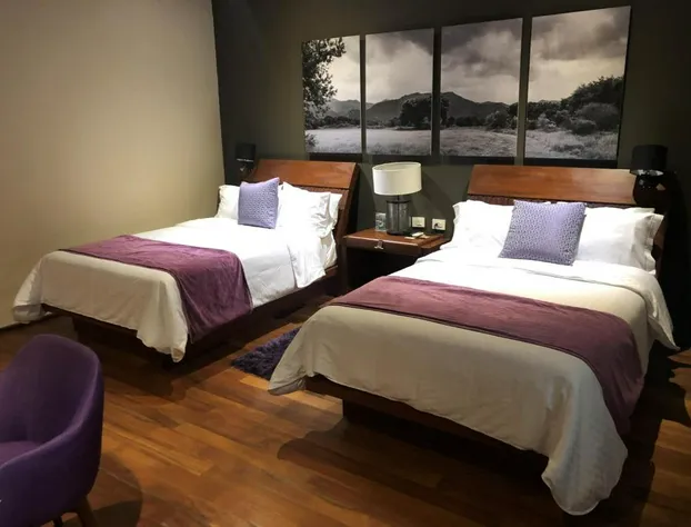 Gamma Rincón de Santiago hotel detail image 3