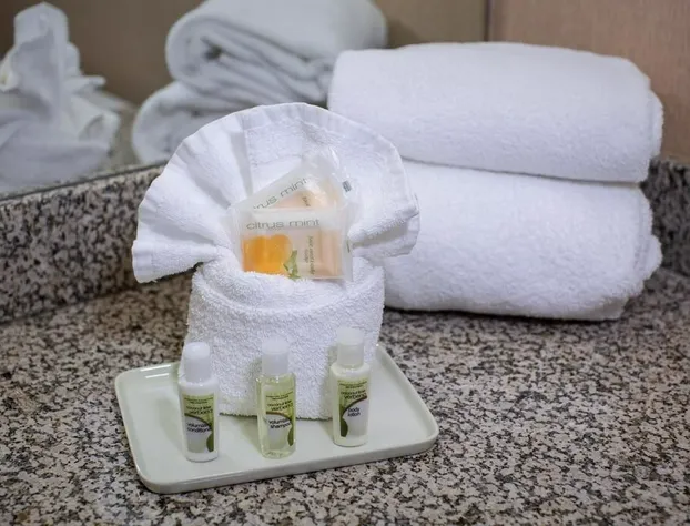 Fogelman Executive Center hotel detail image 4