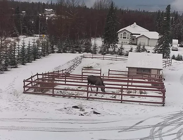 Alaska Sundance Retreat B&B hotel detail image 2