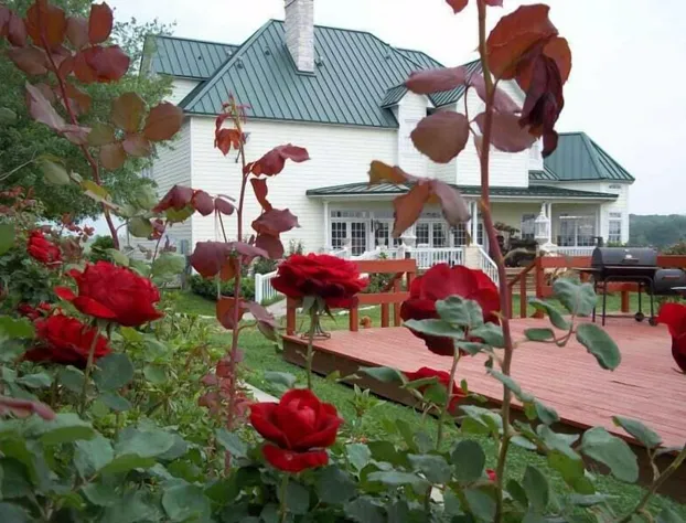 Lillian Farms Bed & Breakfast hotel detail image 2