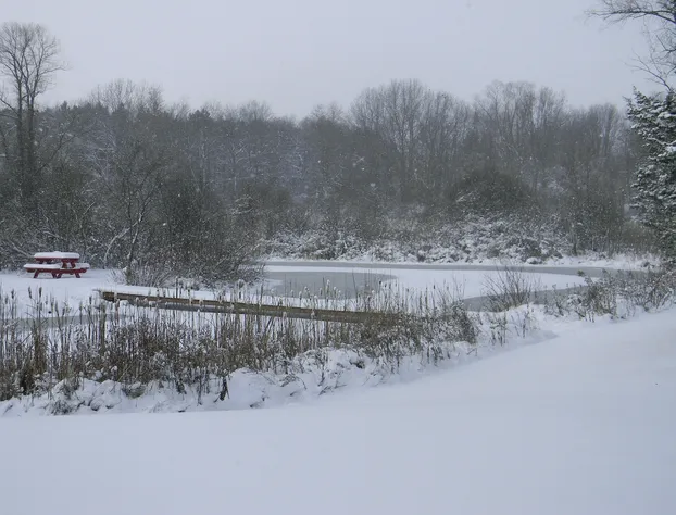 BMI Bed & Breakfast and Oasis hotel detail image 3