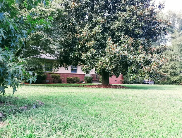 A house full of steel balls and games hotel detail image 4