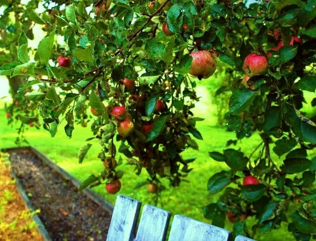 The Carriage Barn Inn hotel detail image 3