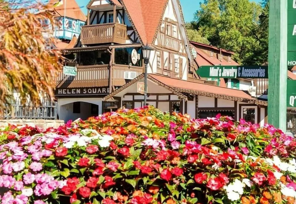 Nacoochee Valley Lodge hotel hero