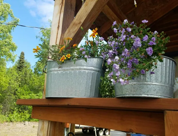 Cache Cabins hotel detail image 3