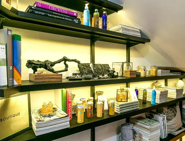 Orchid House Mexico City hotel detail image 2