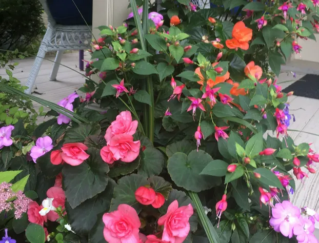 Cottage on Caledonia Bed & Breakfast hotel detail image 1